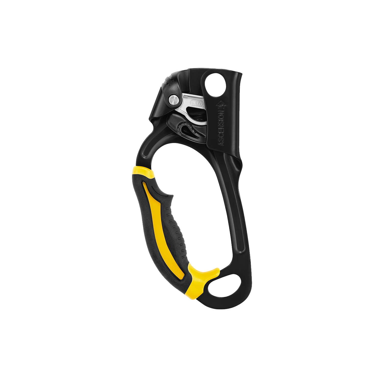 Petzl ASCENSION Ascender — Adventure Experiences: A Full